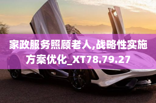 家政服务照顾老人,战略性实施方案优化_XT78.79.27