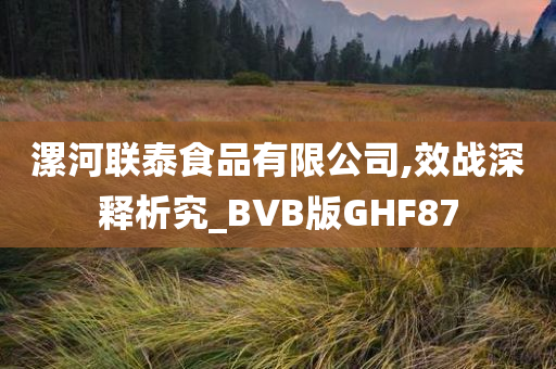 漯河联泰食品有限公司,效战深释析究_BVB版GHF87