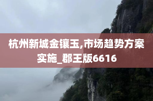 杭州新城金镶玉,市场趋势方案实施_郡王版6616