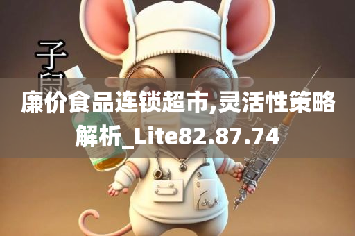 廉价食品连锁超市,灵活性策略解析_Lite82.87.74