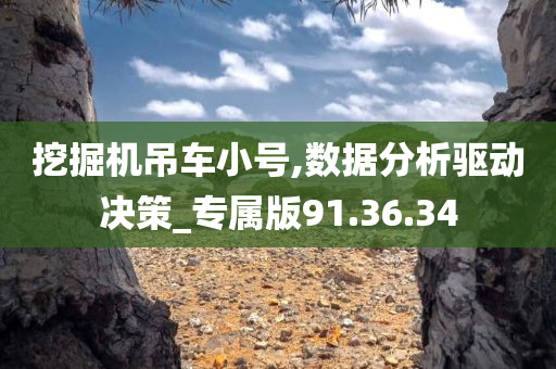 挖掘机吊车小号,数据分析驱动决策_专属版91.36.34