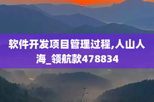 软件开发项目管理过程,人山人海_领航款478834