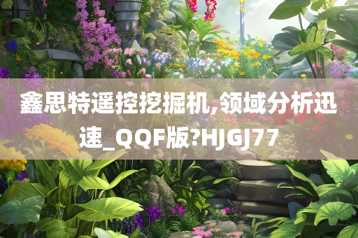 鑫思特遥控挖掘机,领域分析迅速_QQF版?HJGJ77