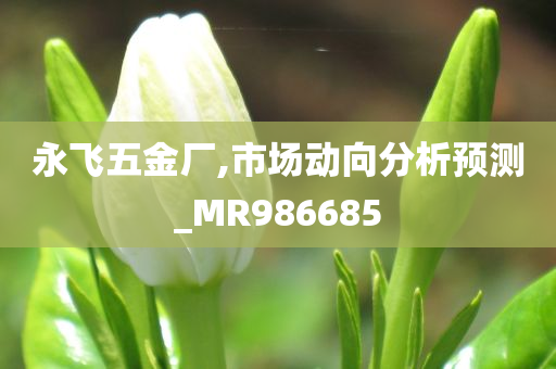 永飞五金厂,市场动向分析预测_MR986685