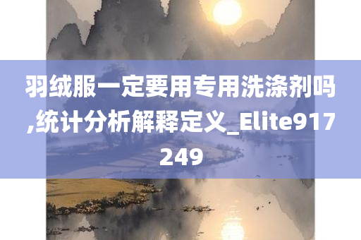 羽绒服一定要用专用洗涤剂吗,统计分析解释定义_Elite917249