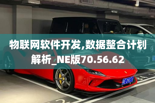 物联网软件开发,数据整合计划解析_NE版70.56.62