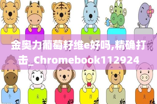 金奥力葡萄籽维e好吗,精确打击_Chromebook112924