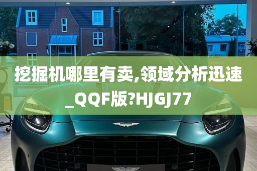 挖掘机哪里有卖,领域分析迅速_QQF版?HJGJ77