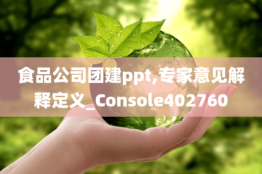 食品公司团建ppt,专家意见解释定义_Console402760