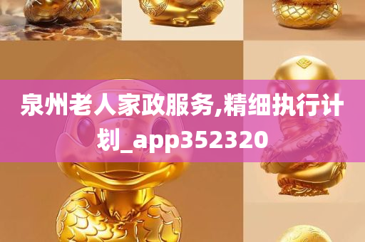 泉州老人家政服务,精细执行计划_app352320