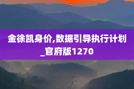 金徐凯身价,数据引导执行计划_官府版1270