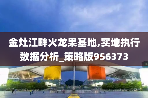 金灶江畔火龙果基地,实地执行数据分析_策略版956373