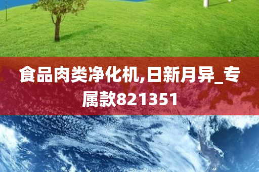 食品肉类净化机,日新月异_专属款821351