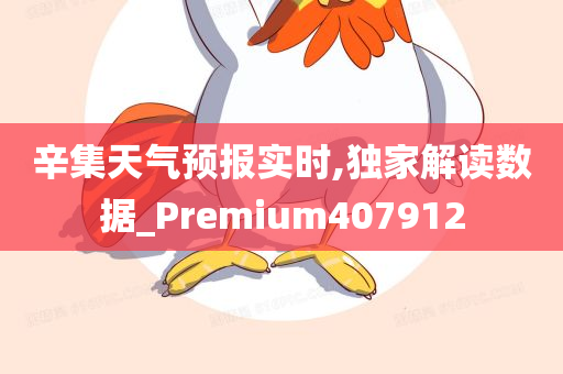 辛集天气预报实时,独家解读数据_Premium407912