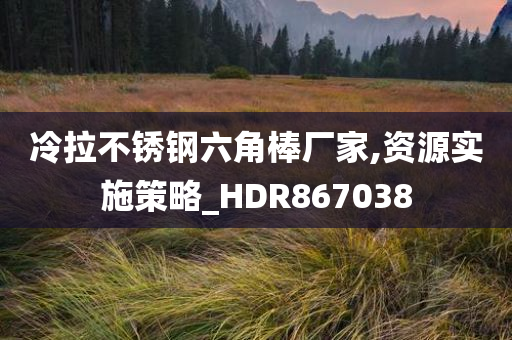 冷拉不锈钢六角棒厂家,资源实施策略_HDR867038