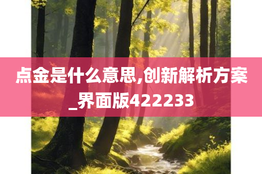 点金是什么意思,创新解析方案_界面版422233