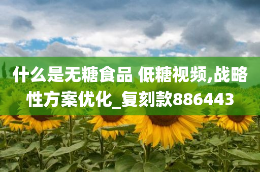 什么是无糖食品 低糖视频,战略性方案优化_复刻款886443