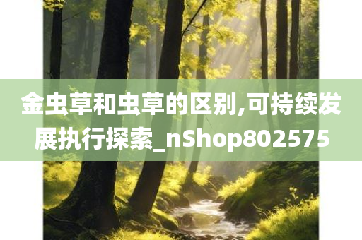 金虫草和虫草的区别,可持续发展执行探索_nShop802575