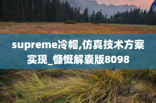 supreme冷帽,仿真技术方案实现_慷慨解囊版8098