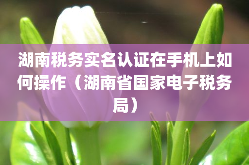 湖南税务实名认证在手机上如何操作（湖南省国家电子税务局）