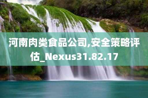 河南肉类食品公司,安全策略评估_Nexus31.82.17