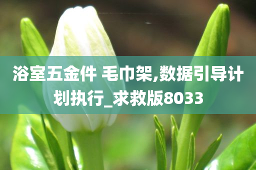 浴室五金件 毛巾架,数据引导计划执行_求救版8033