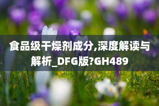 食品级干燥剂成分,深度解读与解析_DFG版?GH489