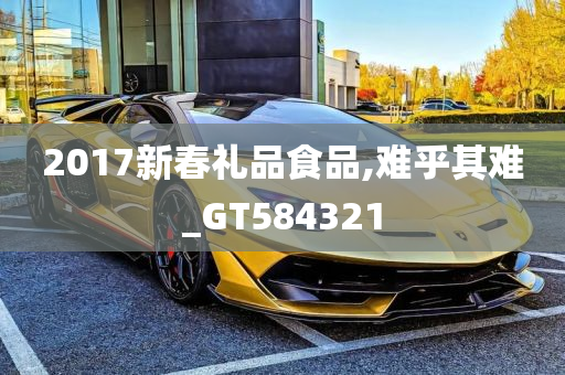 2017新春礼品食品,难乎其难_GT584321