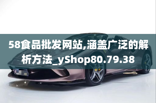 58食品批发网站,涵盖广泛的解析方法_yShop80.79.38