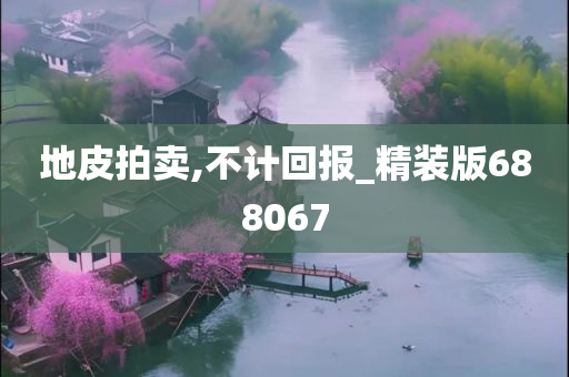 地皮拍卖,不计回报_精装版688067