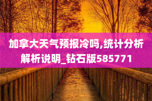 加拿大天气预报冷吗,统计分析解析说明_钻石版585771