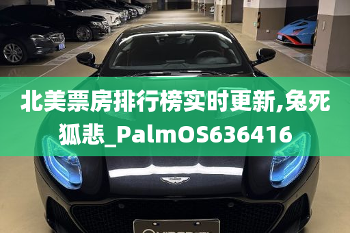 北美票房排行榜实时更新,兔死狐悲_PalmOS636416