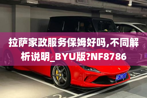 拉萨家政服务保姆好吗,不同解析说明_BYU版?NF8786