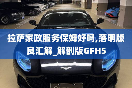 拉萨家政服务保姆好吗,落明版良汇解_解剖版GFH5