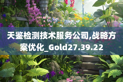 天鉴检测技术服务公司,战略方案优化_Gold27.39.22