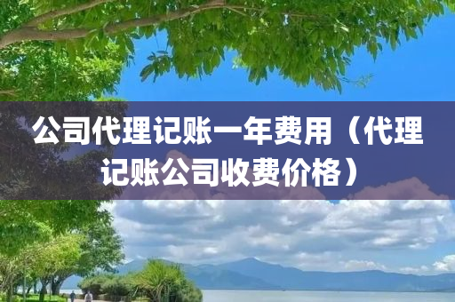 公司代理记账一年费用（代理记账公司收费价格）