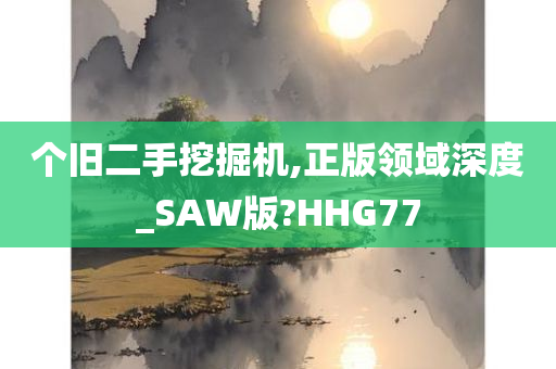 个旧二手挖掘机,正版领域深度_SAW版?HHG77