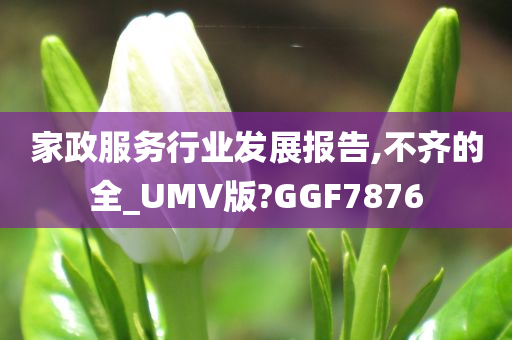 家政服务行业发展报告,不齐的全_UMV版?GGF7876