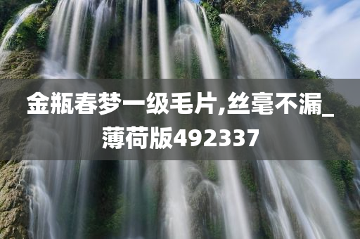 金瓶春梦一级毛片,丝毫不漏_薄荷版492337