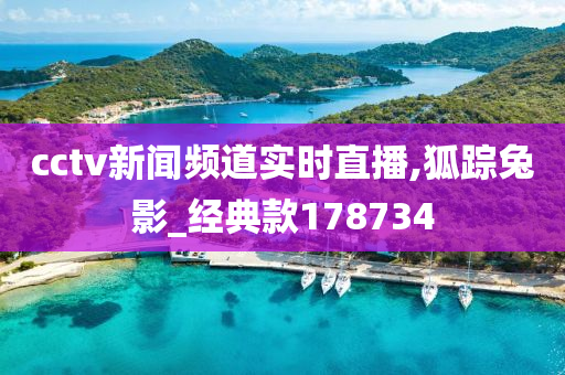 cctv新闻频道实时直播,狐踪兔影_经典款178734