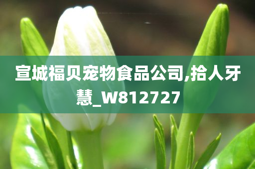 宣城福贝宠物食品公司,拾人牙慧_W812727