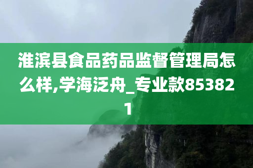 淮滨县食品药品监督管理局怎么样,学海泛舟_专业款853821