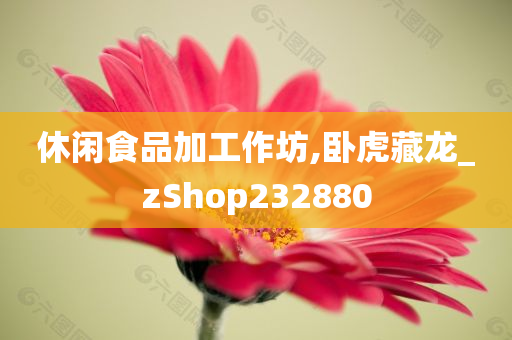 休闲食品加工作坊,卧虎藏龙_zShop232880