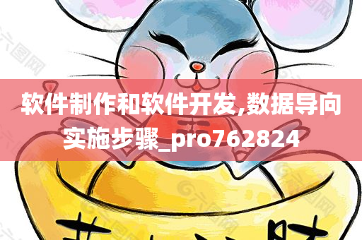 软件制作和软件开发,数据导向实施步骤_pro762824