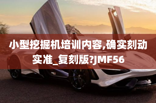 小型挖掘机培训内容,确实刻动实准_复刻版?JMF56