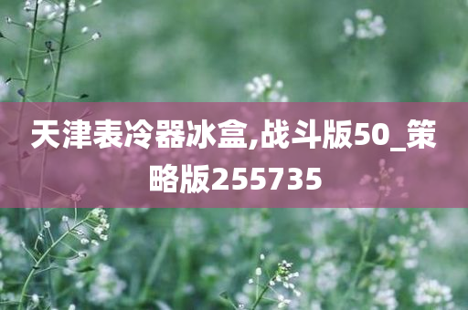 天津表冷器冰盒,战斗版50_策略版255735