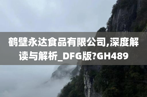 鹤壁永达食品有限公司,深度解读与解析_DFG版?GH489