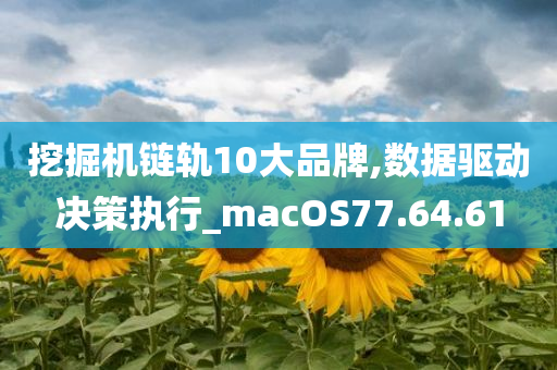 挖掘机链轨10大品牌,数据驱动决策执行_macOS77.64.61