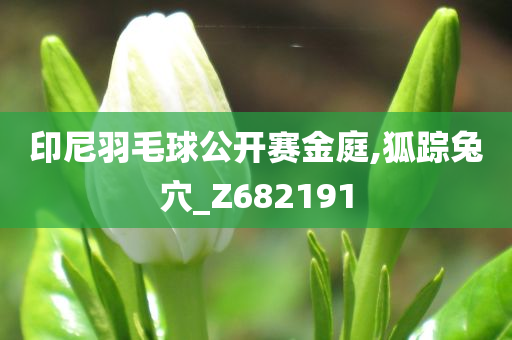 印尼羽毛球公开赛金庭,狐踪兔穴_Z682191