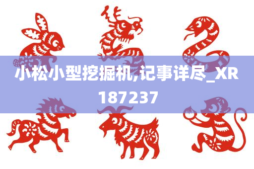 小松小型挖掘机,记事详尽_XR187237